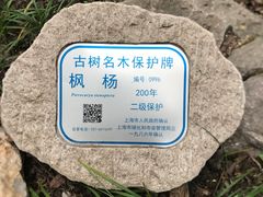 -汇龙潭