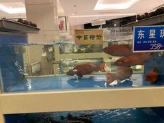 -双井轩(双井店)