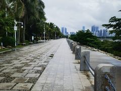 -深圳湾公园(南山区)