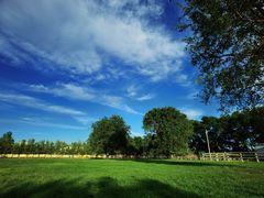 -北京群众马术培训基地