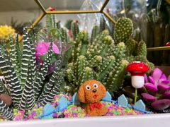 -循礼门鲜花花市(武汉循礼门店)