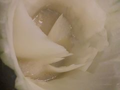 -尚竹阁冬瓜盅·18年地标美食(平洲店)