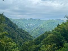 -藏龙百瀑风景区