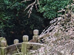 -北寺塔