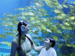 -威海华夏城景区