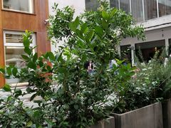 景观位-RAC BAR(安福路店)