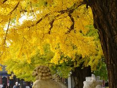 -北京石刻艺术博物馆(五塔寺)