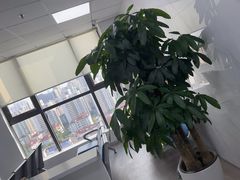 -华硕笔记本电脑售后维修(华博科技大楼店)