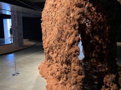-现代汽车文化中心 Hyundai Motorstudio Beijing