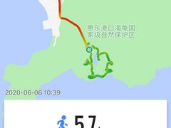 -广东惠东海龟国家级自然保护区