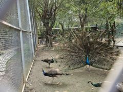 -长廊欢乐园