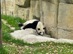 -上海野生动物园