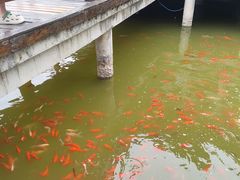 -中国翰园碑林