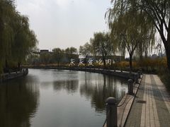 -宿迁学院