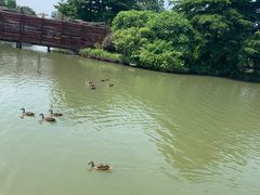 -海珠湖公园