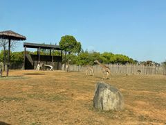 -上海野生动物园