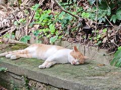 -狼山风景名胜区