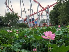 景点-北京欢乐谷