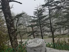 -峨眉山风景名胜区