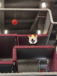 -marspace马斯派超级运动公园(正弘汇店)