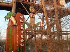 -北京呀路古热带植物园