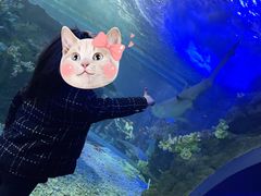 -江和美海洋公园