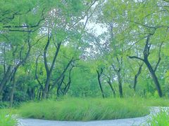 -中山公园