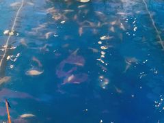 -钳真多钓虾馆·小龙虾海鲜烧烤(九六广场店)
