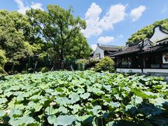 -上海醉白池公园