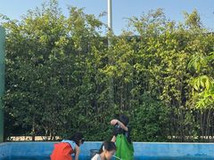 -蜜野MatYe城市营地·团建年会·亲子派对