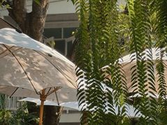 -Fern Forest Cafe