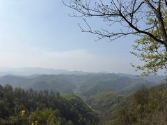 -千年银杏谷文化旅游区