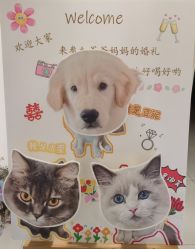 -花嫁丽舍婚礼殿堂(世博江景店)