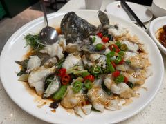 鲜花椒蒸龙趸鱼-任兴记(定西路店)