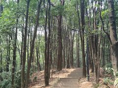-广州市白云山风景名胜区