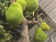 -新合益乡村农庄