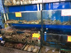 水产区-蚝专家(北滘店)