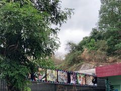-深圳野生动物园