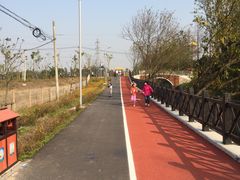 -上海长兴岛郊野公园