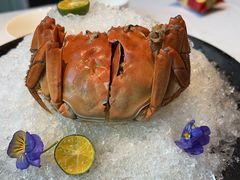 -阿五黄河大鲤鱼(英协路店)