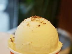 花椒凤梨-Dal Cuore 达可芮冰淇淋(陕西北路店)