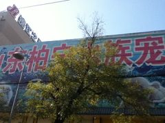 -山东柏宁水族批发广场