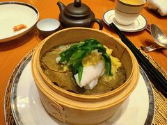-广州富力君悦大酒店空中花园