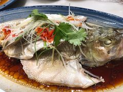 -鸭匠食府·挂炉烤鸭·新京菜(阜成路店)