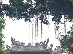 -湄洲岛