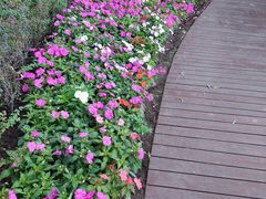 -大连植物园