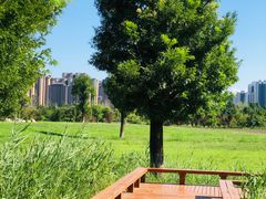 -汉长安城未央宫国家考古遗址公园