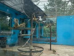 -秦皇岛野生动物园