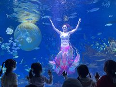 -海合安武汉极地海洋公园