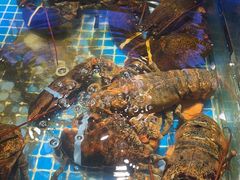 -驻海渔市(置信店)